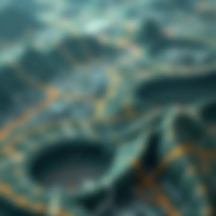 Magnificent Navigating the Landscape of Interest Rate Payments