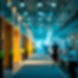 A Comprehensive Exploration of Assurance Services at EY Introduction