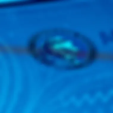 The Distinctive Amex Logo American Express logo representation