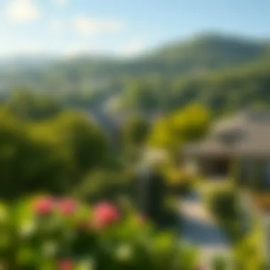 Peaceful Suburban Retreat Lush greenery in a peaceful suburban neighborhood