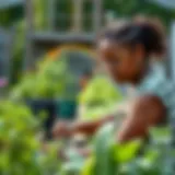 An individual volunteering in a community garden, promoting sustainability.