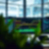 Visualization of Thinkorswim platform interface