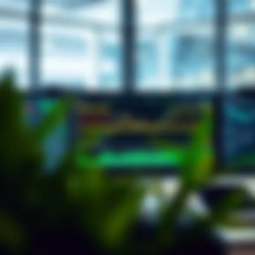 Visualization of Thinkorswim platform interface