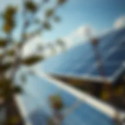 Understanding the Costs of Solar Panel Installation Introduction