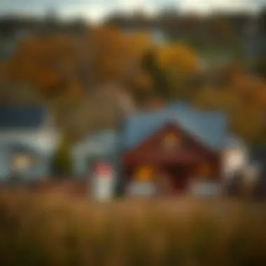 Illustration of rural housing opportunities